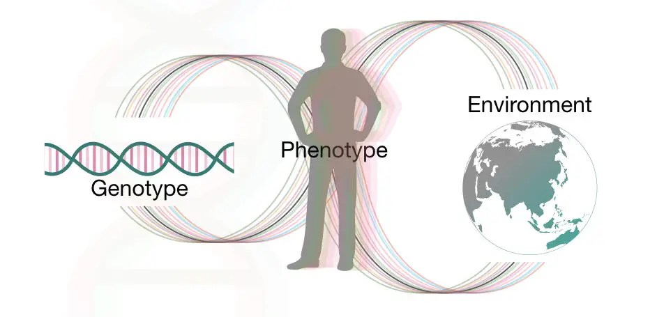 Influence of GeneEnvironment Interaction on life Education Influence of GeneEnvironment Interaction on life Education