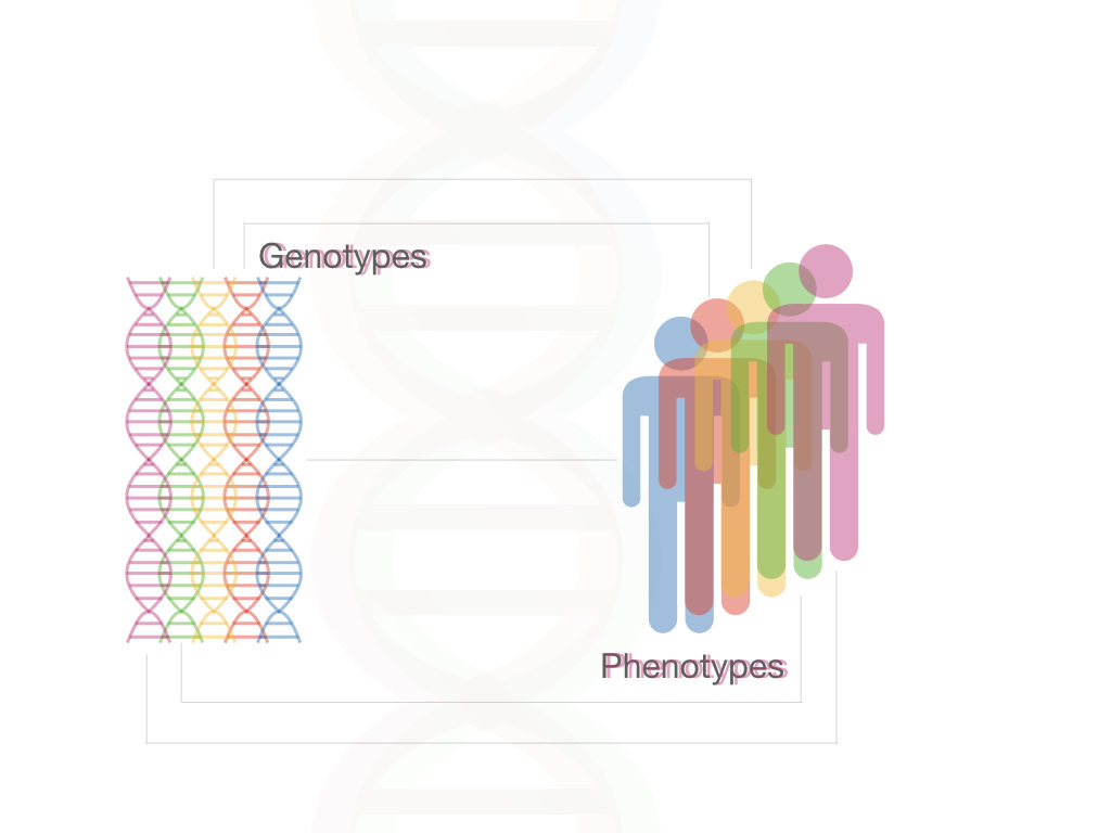 What is Predisposition?Definition, Mechanism and Test
