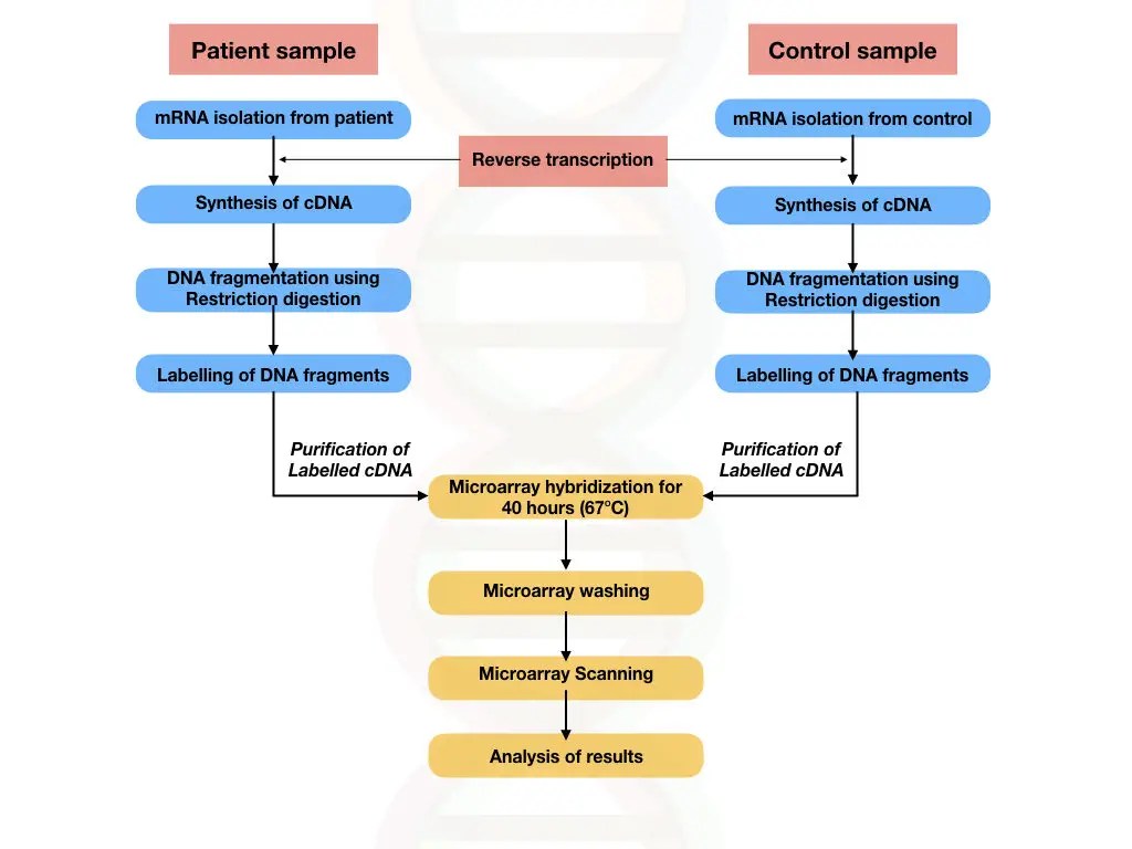 6 Types of Microarraybased Testing Education