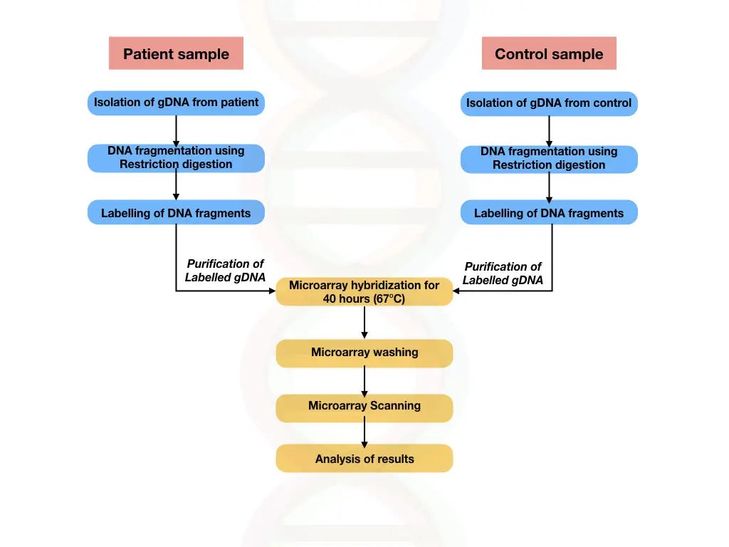 6 Types of Microarraybased Testing Education