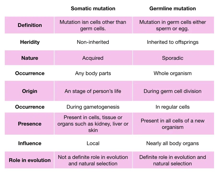 What is Somatic and Germline Mutation?