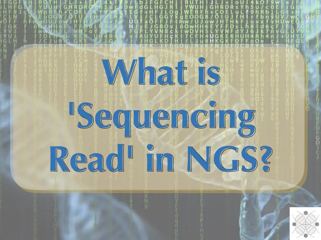 What is 'Sequencing Read' in NGS? Education