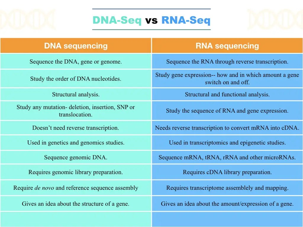 Differences Between DNASeq vs RNASeq Education