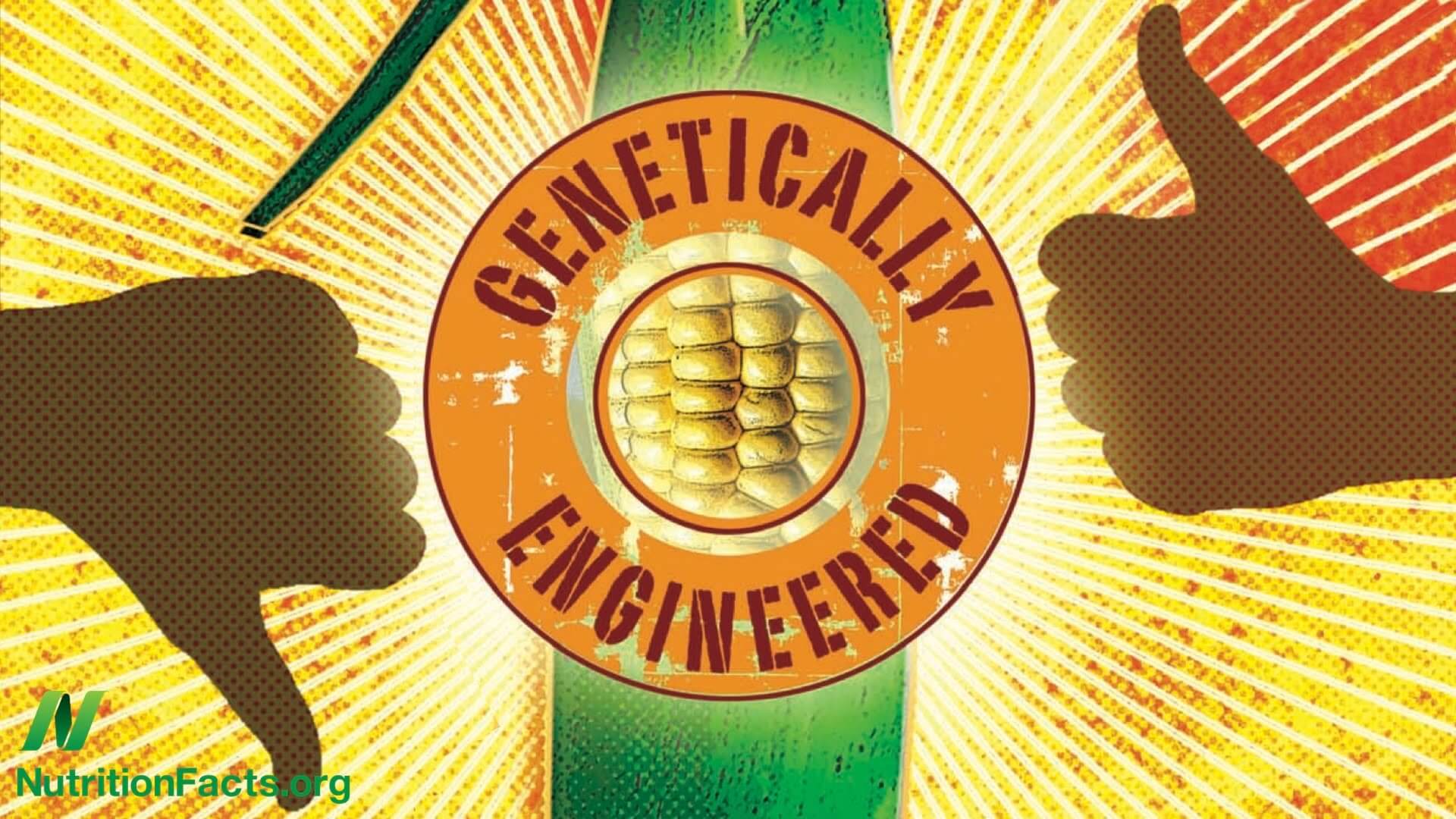 Society of Toxicology Science has 'overwhelmingly demonstrated' GMO