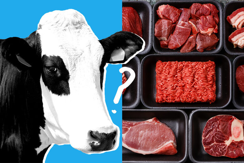 'War of words' over what to call labgrown meat exposes divide in