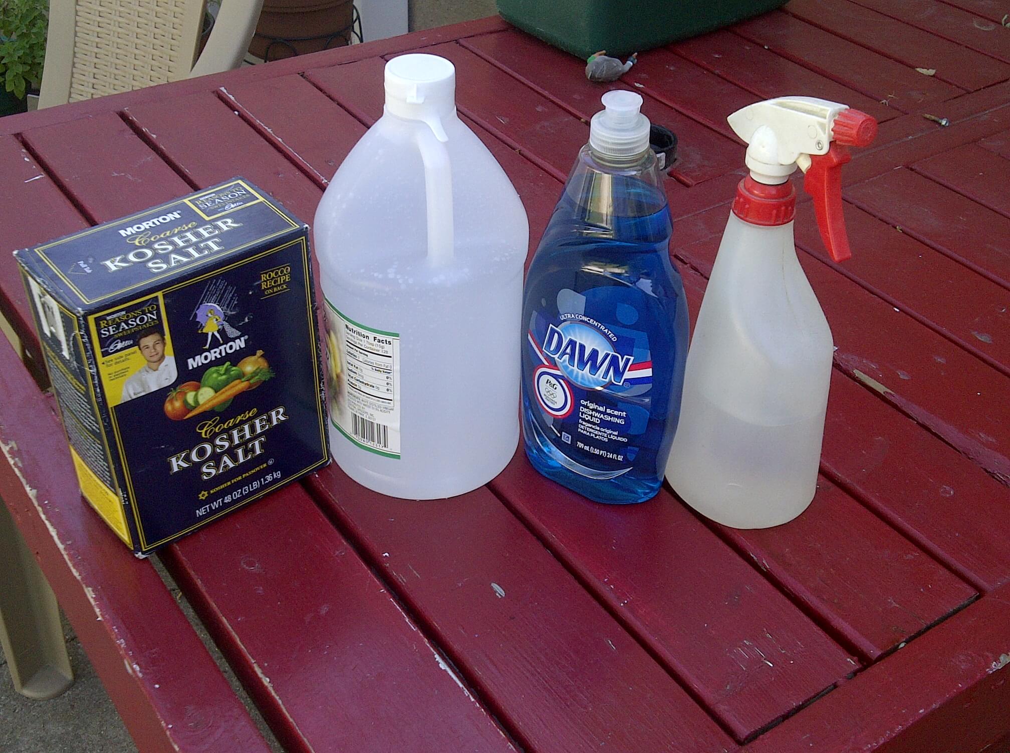 Vinegar, Epsom salts, Dawn weed killer mix superior