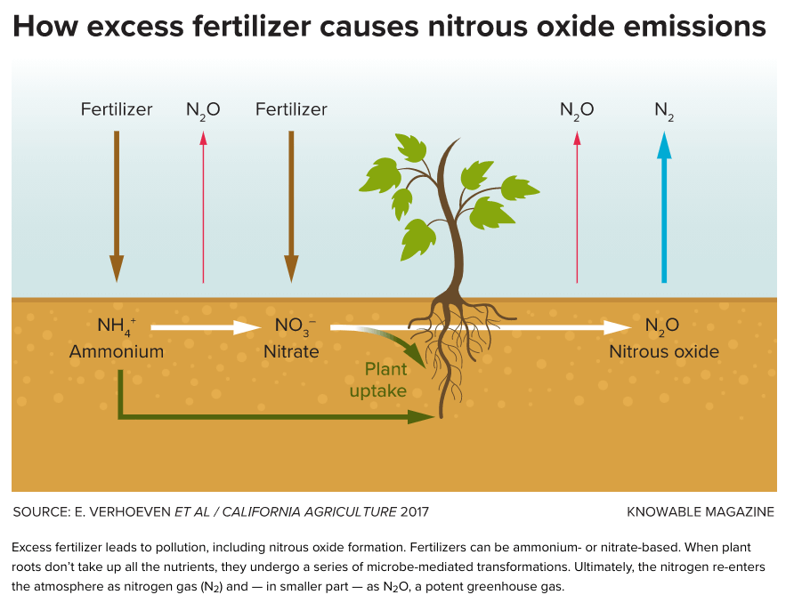 Humanity has tipped the Earth’s nitrogen cycle out of balance. Here’s