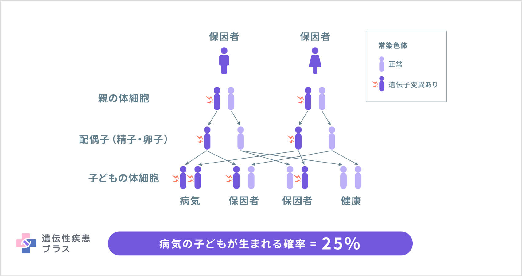 ワーデンブルグ症候群 遺伝性疾患プラス