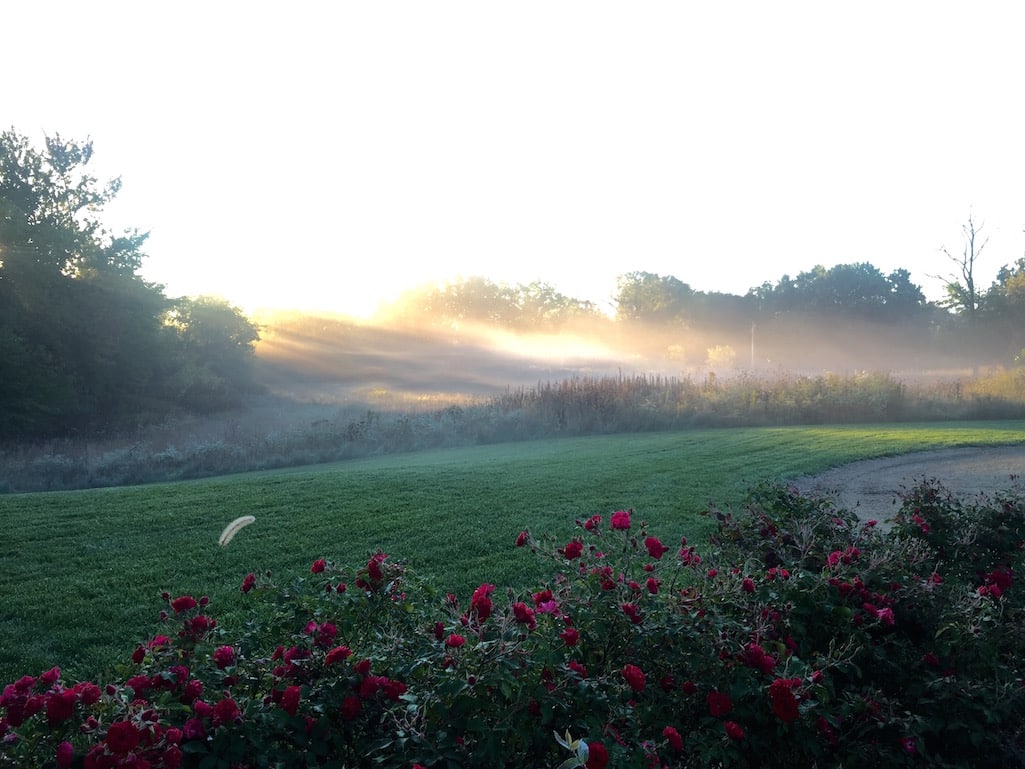 Compass, Et Al Geneva Lakefront Realty