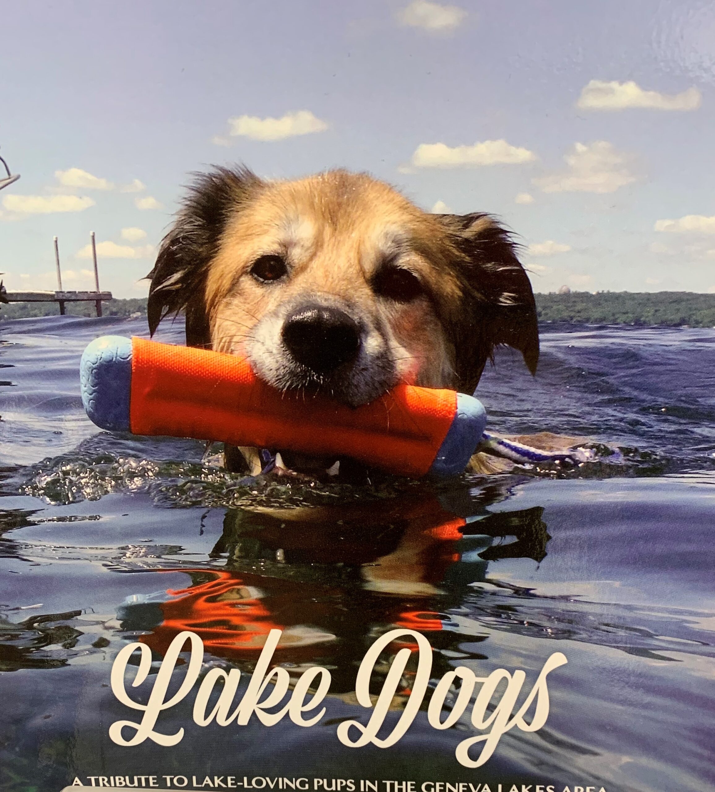 LAKE DOGS Geneva Lake Museum