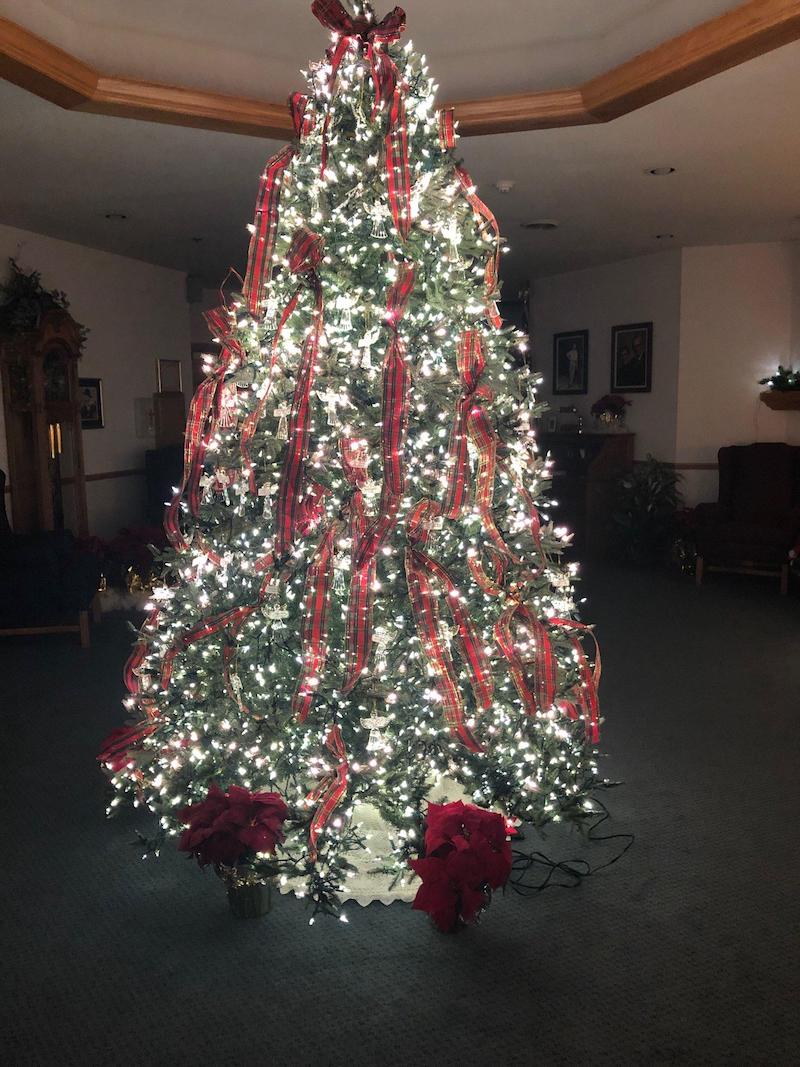 The Bright Side, December 5, 2018 Geneva Shore Report