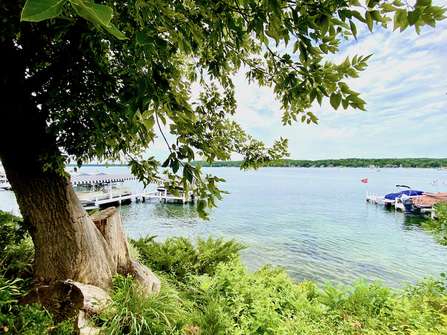 Little Gems, August 4, 2021 Geneva Shore Report