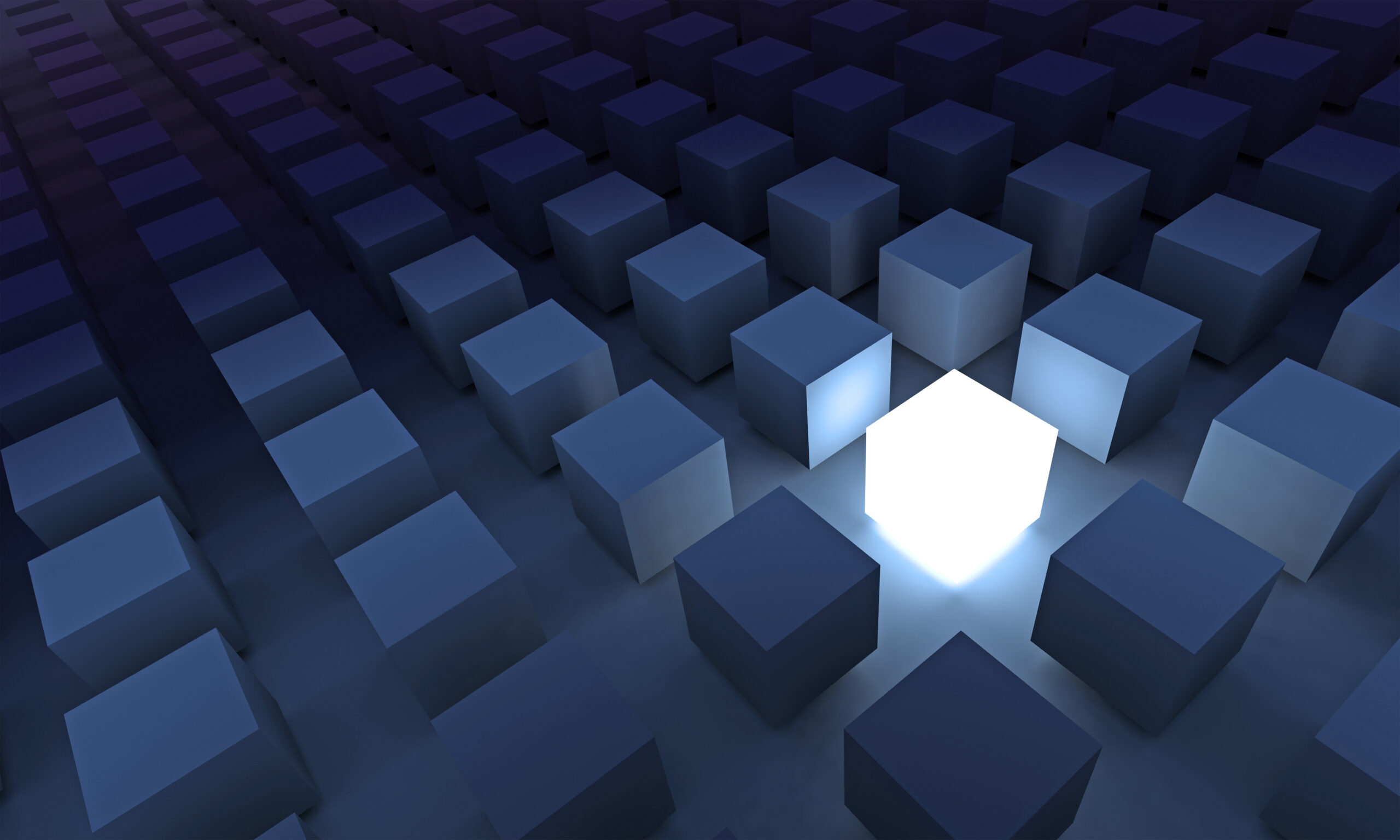 Learn How You Can Ace the Internship and Stand Out as a New Hire from