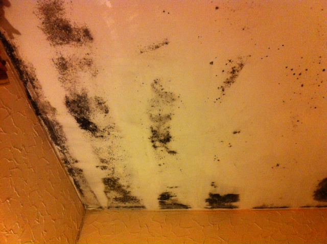 Black mold on bedroom ceiling — MoneySavingExpert Forum