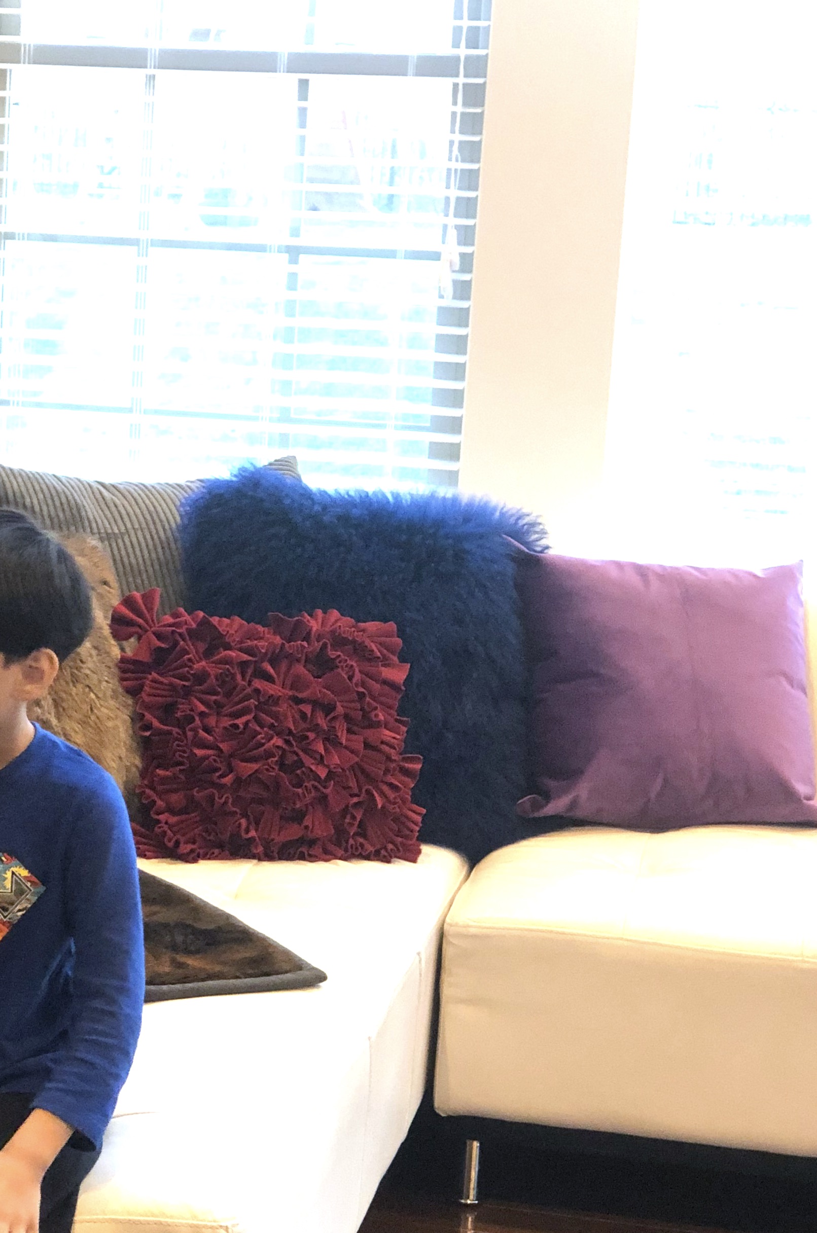 Velvet throw pillow covers