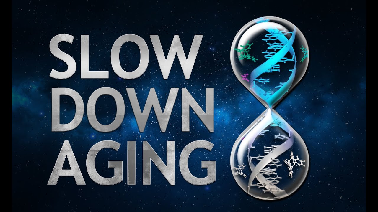 Aging Can we slow it down? Positive Pathways