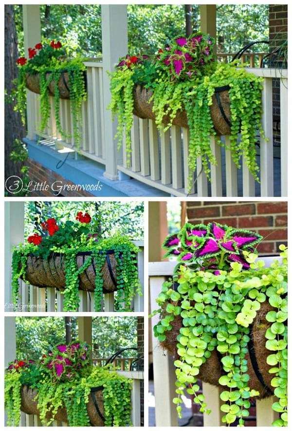 Give A Smart Unique Fence Planter ideas For Your Outdoor Spaces Genmice