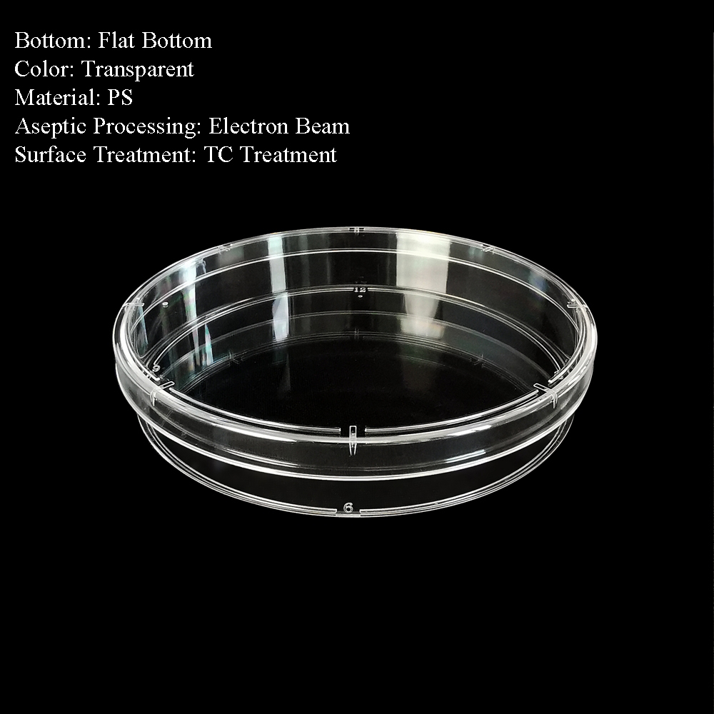 150 cm Petri Dish GenObeDia