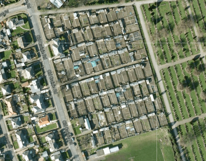 Old Craigie Road Allotment The Center for Genomic Gastronomy