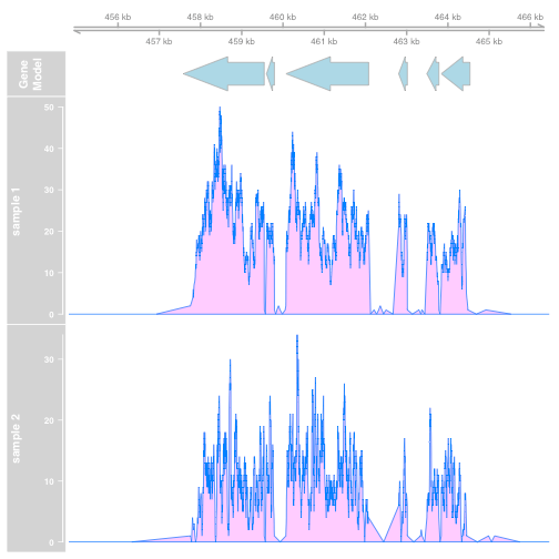 Visualizing NGS data