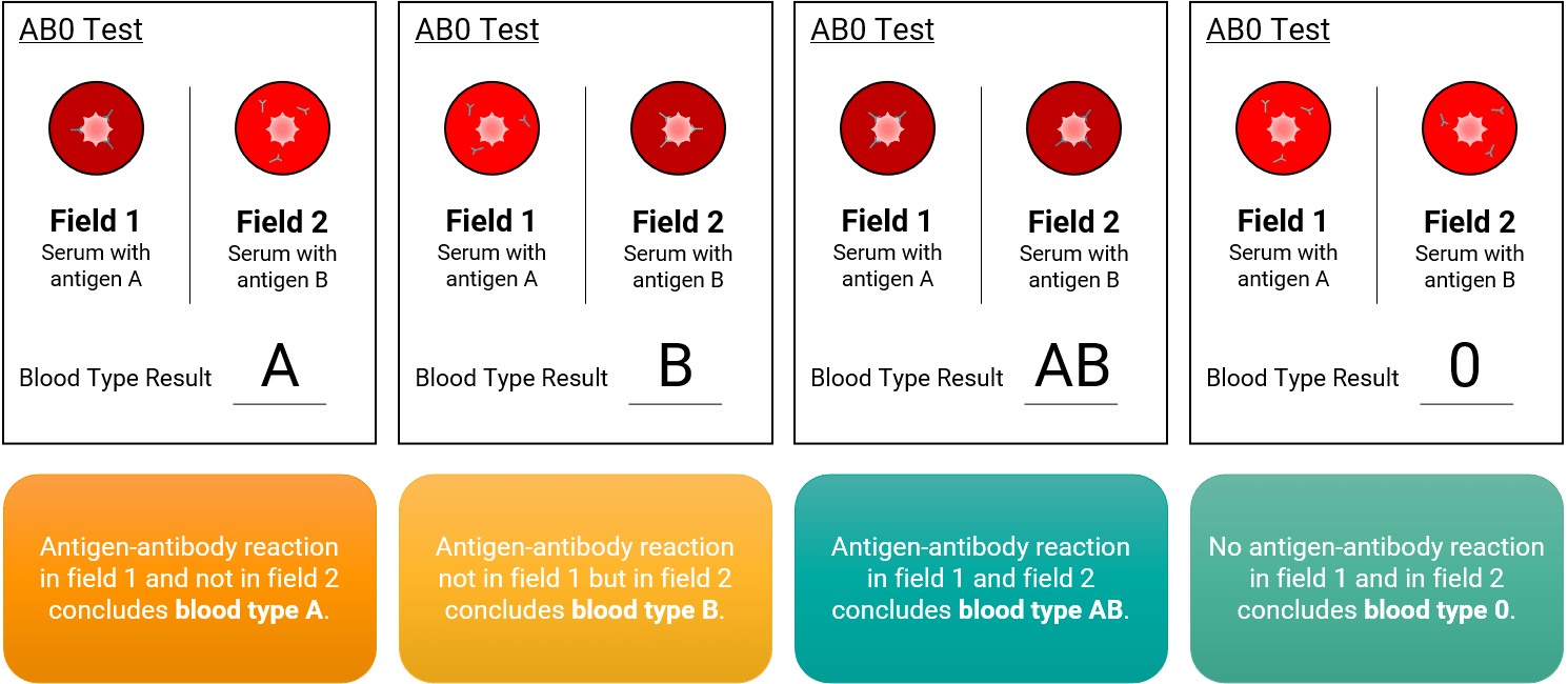 GenomSys Our Blood and our Genes