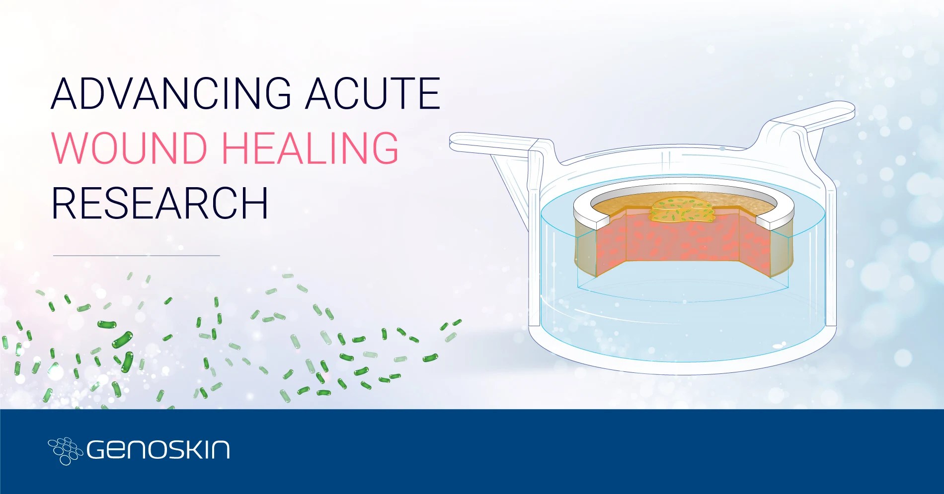 Rethinking wound healing from classical readouts to emerging ways of