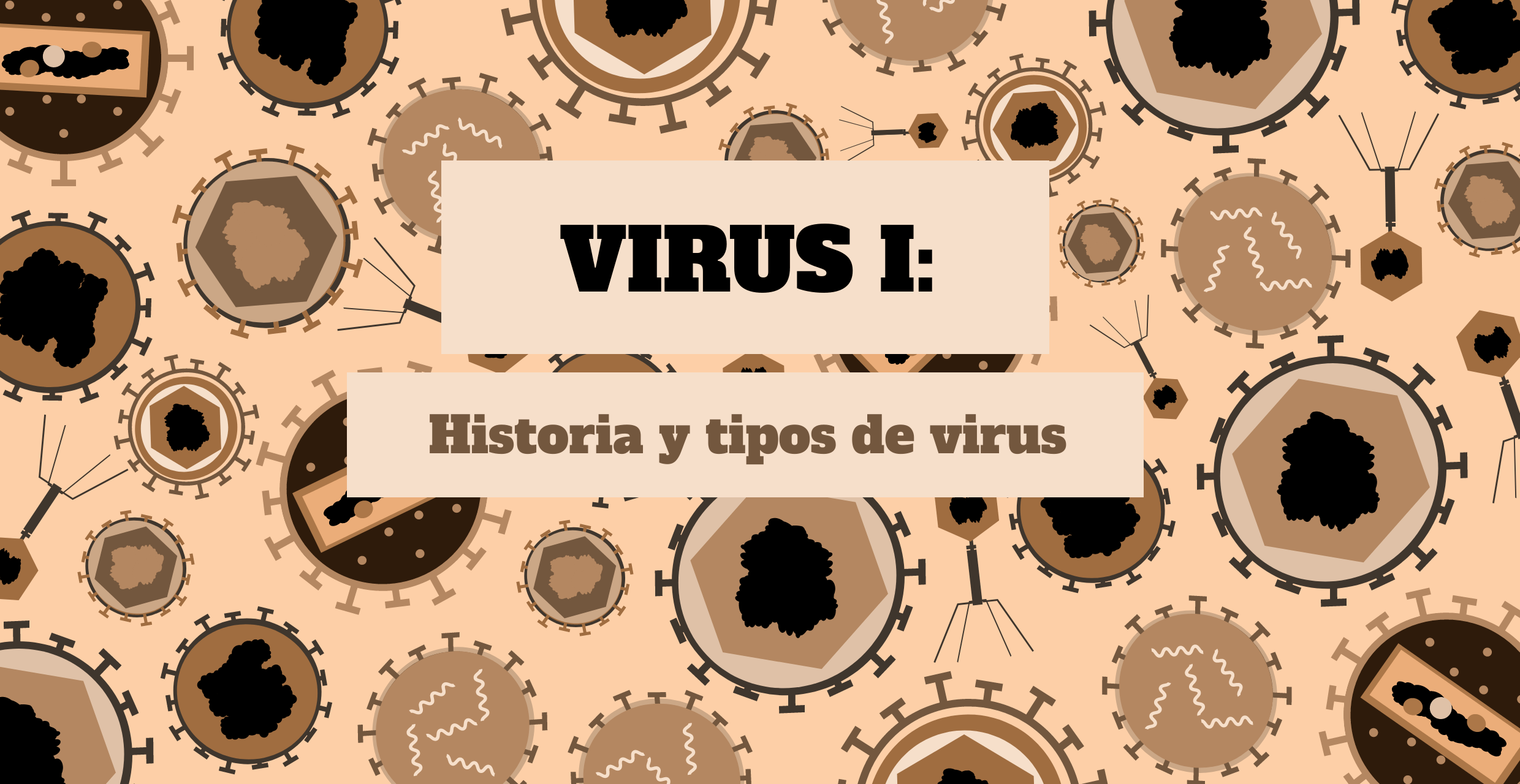 Caracteristicas De Los Virus