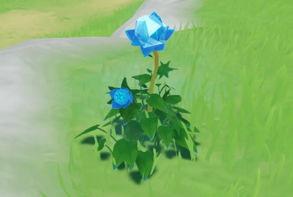 Mist Flower Corolla Guide Genshin Chronicle