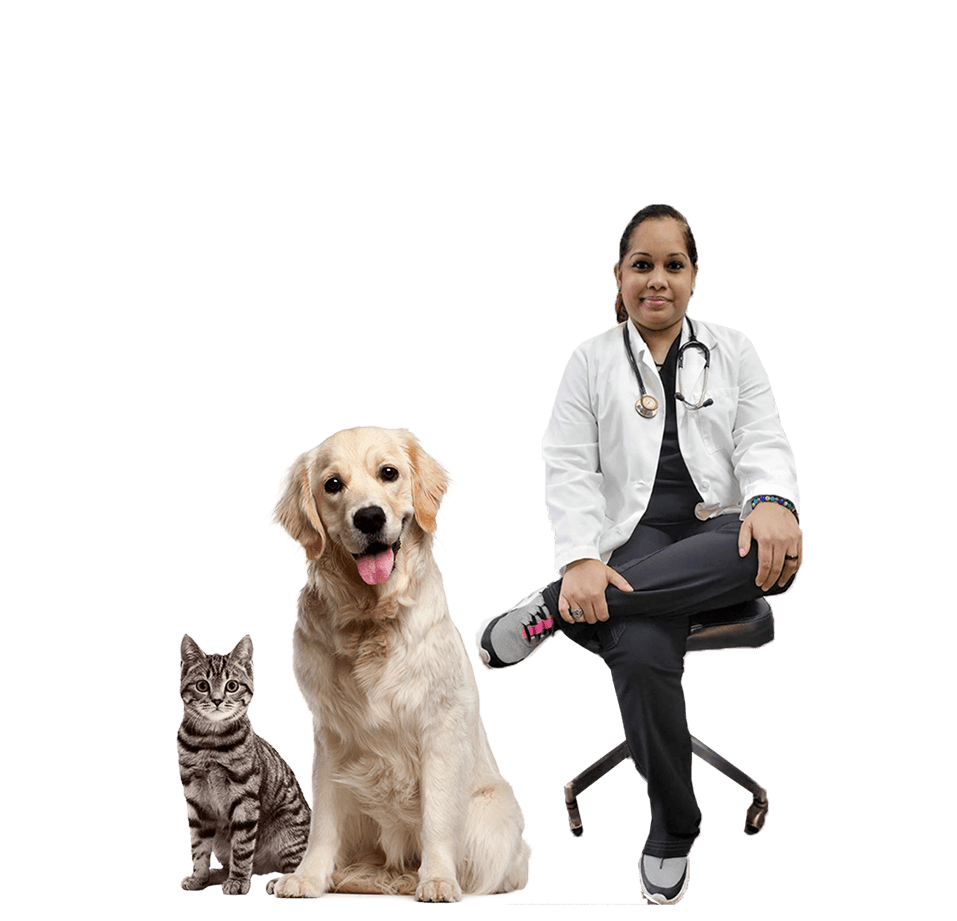 Gentle Ben's Veterinary Clinic