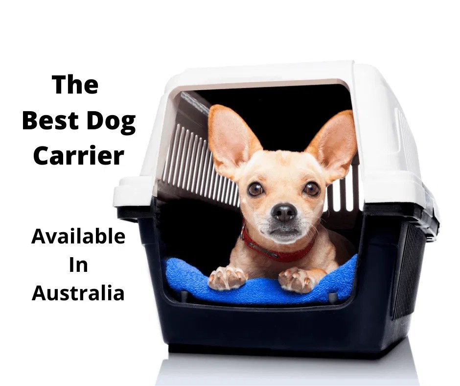 The 6 Best Dog Carriers Australia Tested & Evaluated 2024