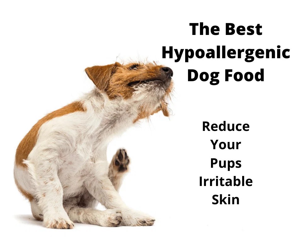 Best Hypoallergenic Dog Food Australia (2023 Buyers Guide