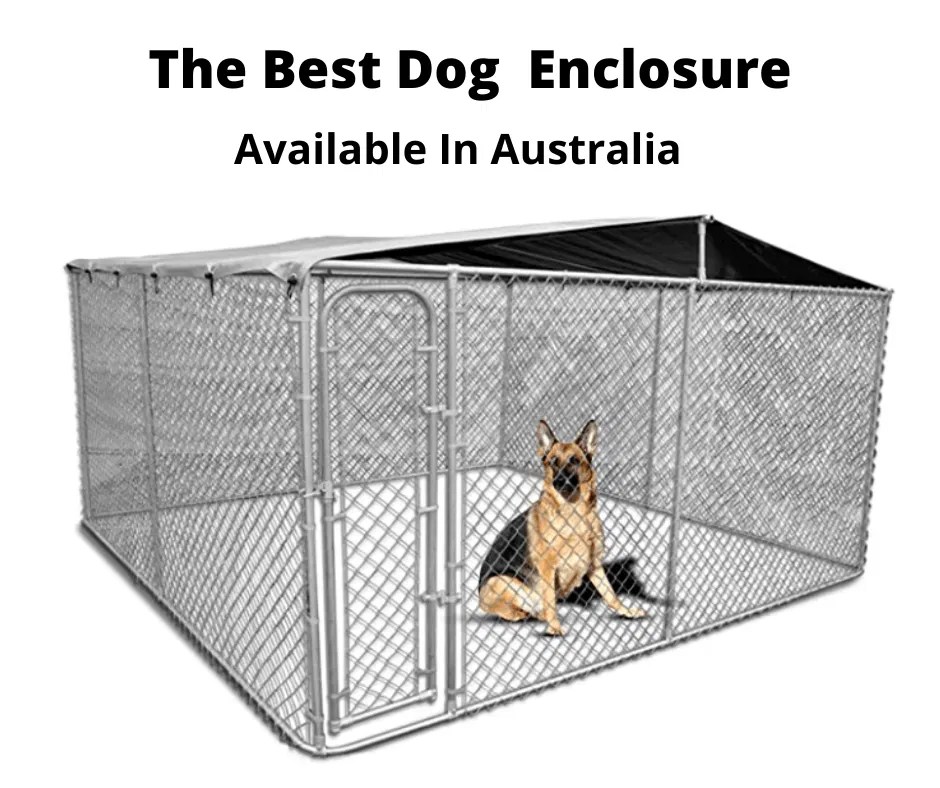The Best Dog Runs Canine Enclosures Australia (2023 Buyers Guide