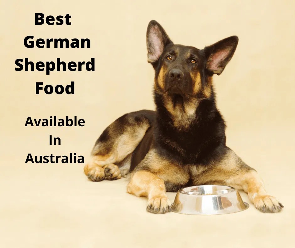 The 8 Best German Shepherd Dog Foods Tested & Evaluated 2023