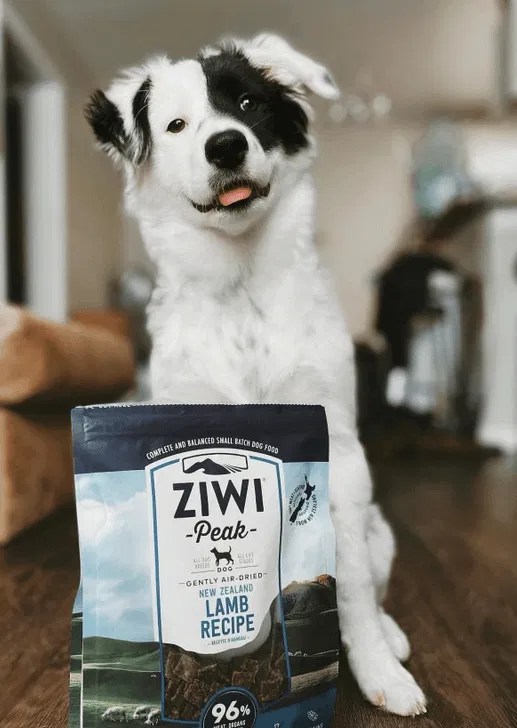 Best Grain Free Dog Food Australia (2023 Expert Guide