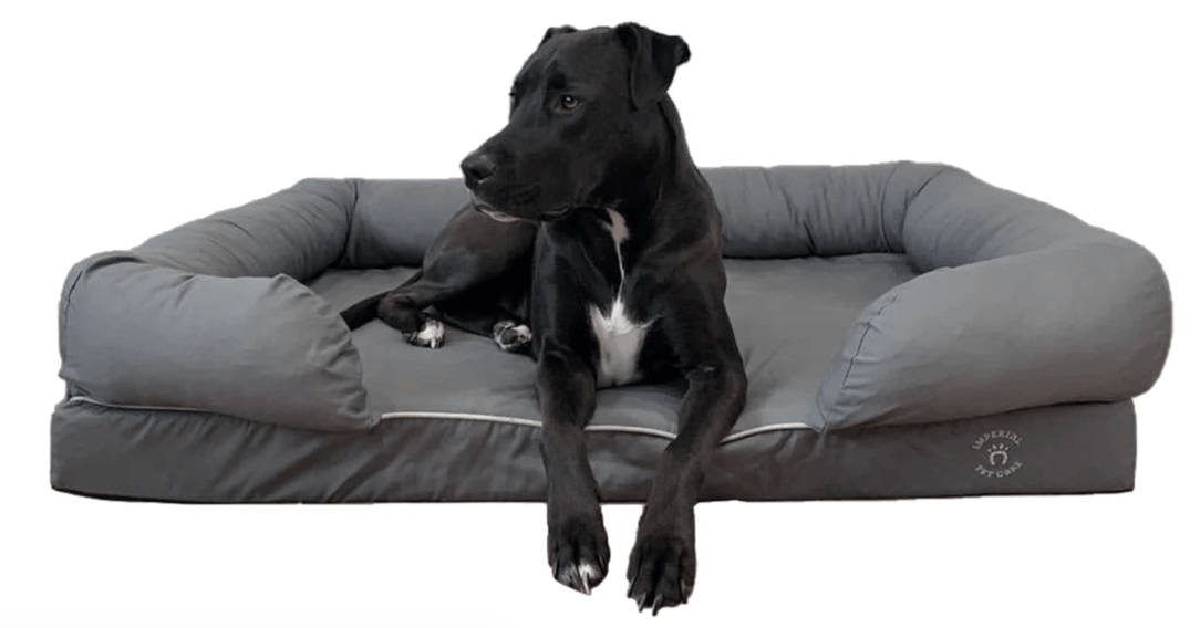 The 11 Best Dog Beds Australia Tested & Evaluated 2024