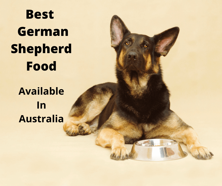 What Human Foods Can German Shepherds Safely Eat?