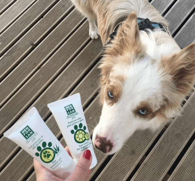 The 5 Best Dog Sunscreens Australia Tested & Reviewed 2024