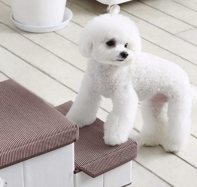 9 Best Dog Steps Australia (2024 Buyers Guide)