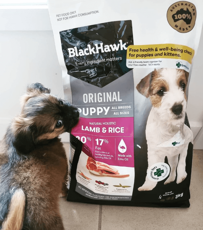 The 6 Best Cheap Dog Foods Australia Tested & Reviewed 2024