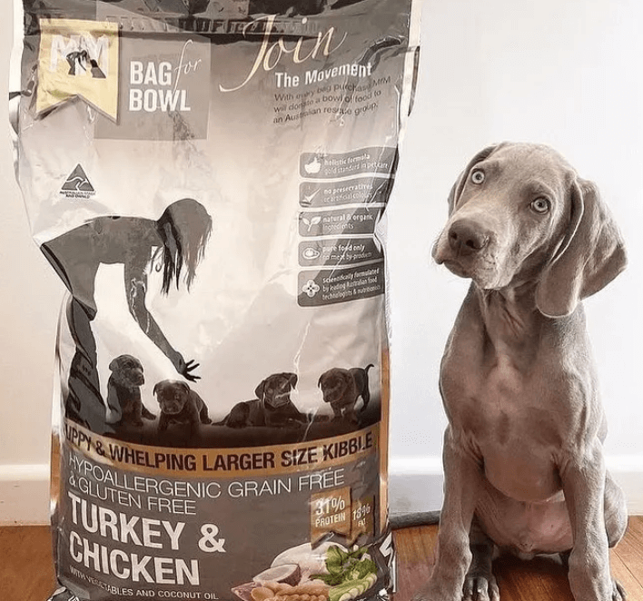 The 6 Best Large Breed Puppy Foods Tested & Evaluated 2024