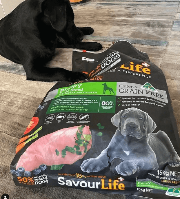 The 6 Best Large Breed Puppy Foods Tested & Evaluated 2024
