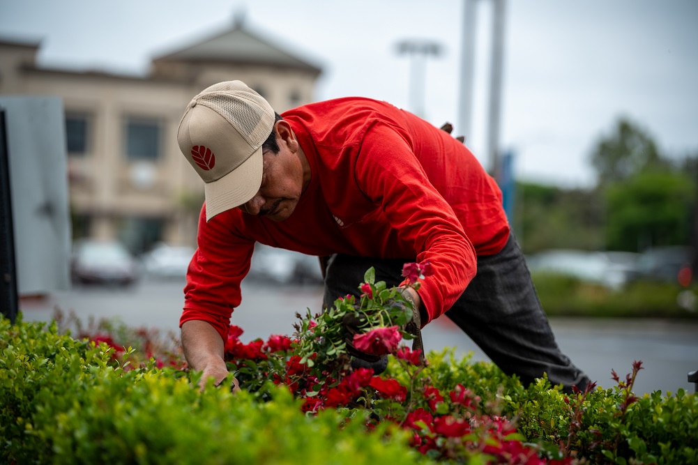 About Commercial Landscape Maintenance Orange County