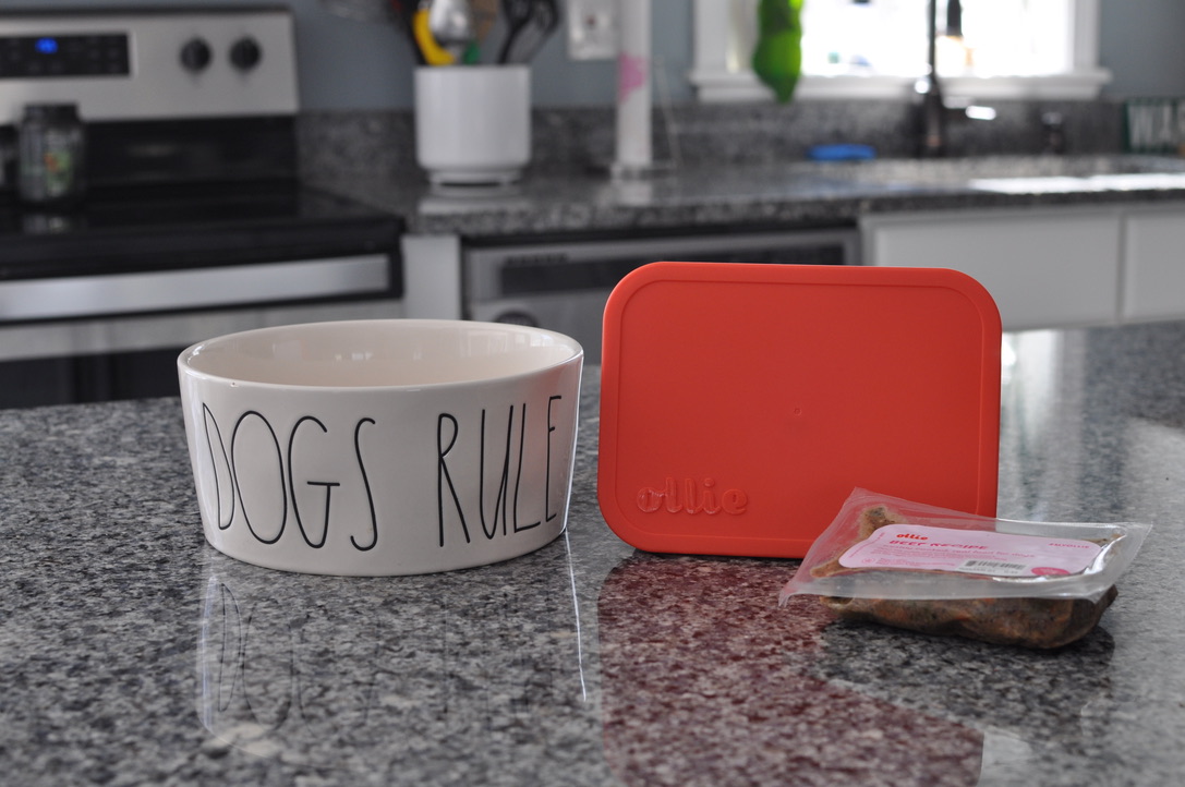 Ollie Review A Food Delivery Service For Your Dog GenTwenty