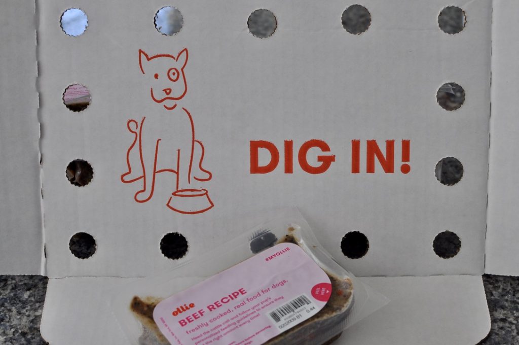 Ollie Review A Food Delivery Service For Your Dog GenTwenty