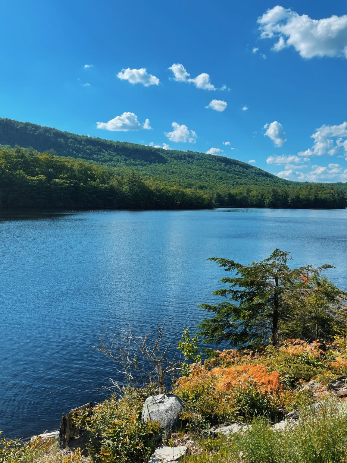 The Pros And Cons Of Living In New England GenTwenty