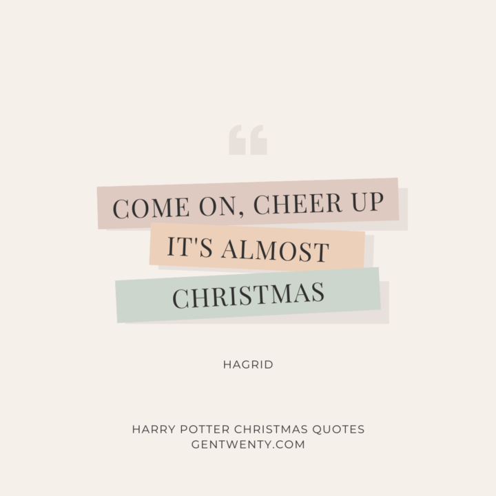 Harry Potter Christmas Quotes GenTwenty