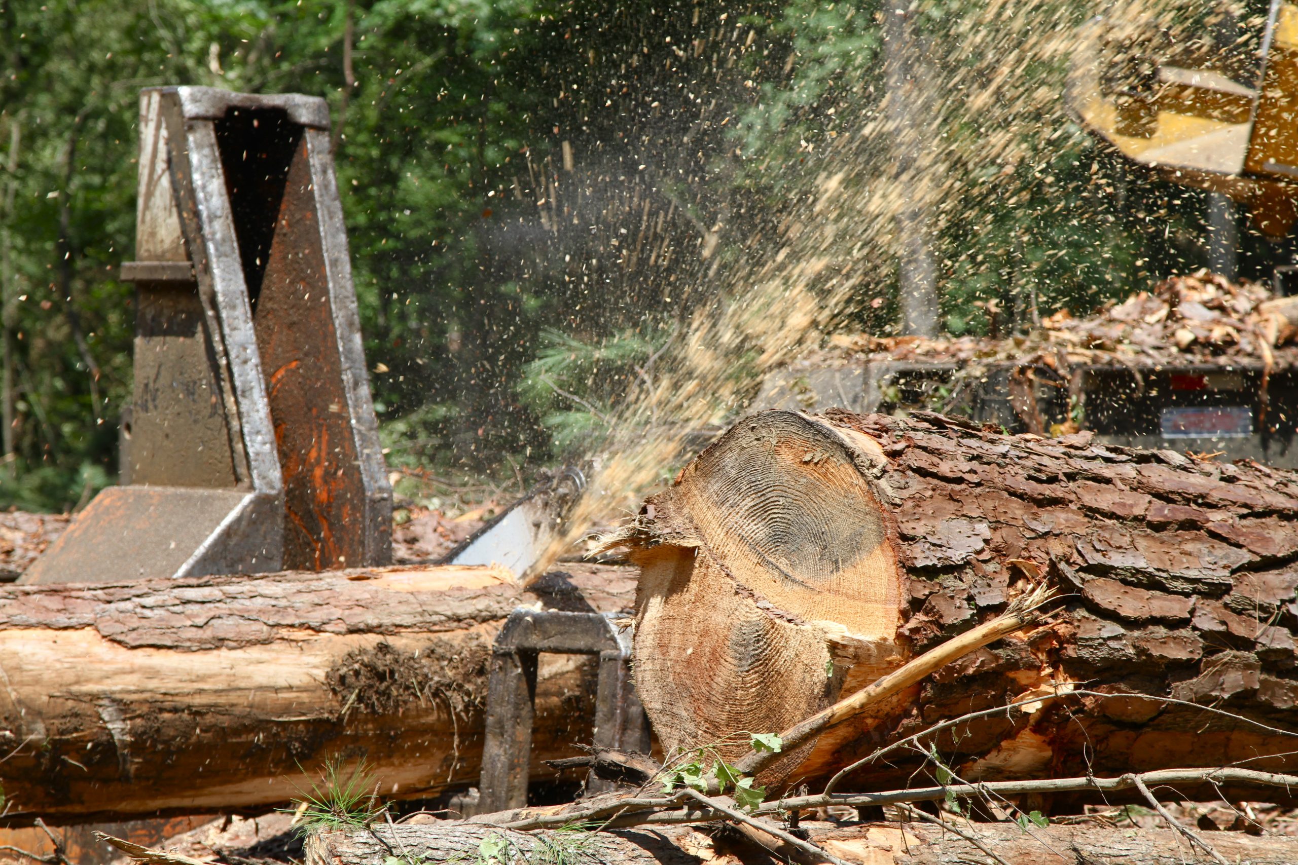 LandMax Properties & Timber Company Genuine MississippiGenuine