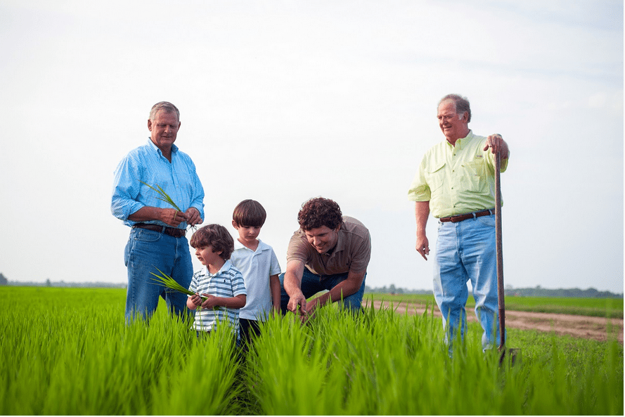 Discover the Flavors of Delta Blues Rice and Two Brooks Farm This Rice