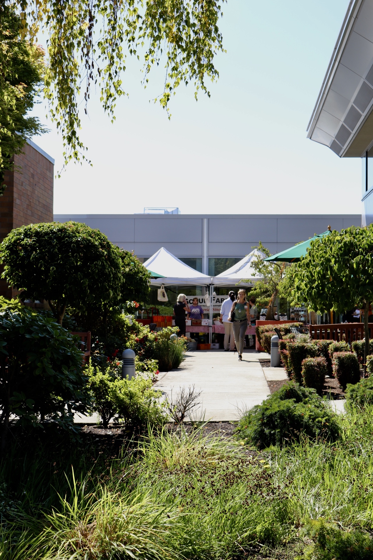 Island Hospital Genuine Skagit Valley