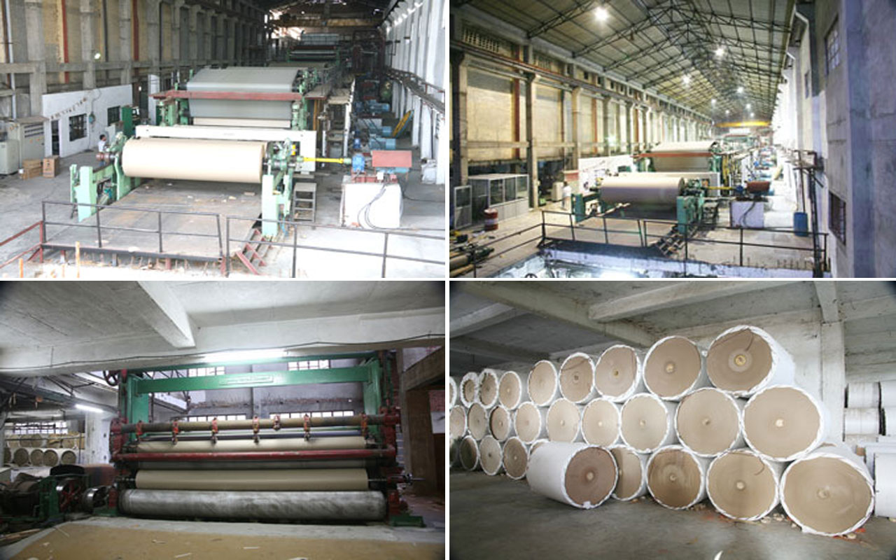 Vision And Mission Genus Paper & Boards Limited